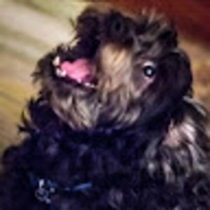 Meet your Posher, Luke